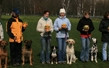 Bilderserie der Hundeschule zum Thema Begleithunde- Prüfung in Berlin
